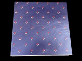 VTG Wrapping Paper Sheet All Occasion Gift Flat Wrap Red Tulip Blue 30”x... - $268.68 MXN
