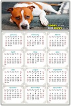 2023 Magnetic Calendar - Today is My Lucky Day - Dogs Themed 017 (7 x 10.5) - £8.53 GBP