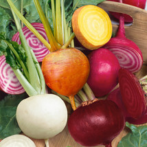 Rainbow Mix Beet Seeds 4 Species (Detroit Dark Red &amp; Golden Chioggia White) - £7.32 GBP