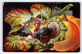 Thanksgiving Greetings Postcard 1909 Embossed Pumpkin Farm Turkeys Vintage - £7.47 GBP
