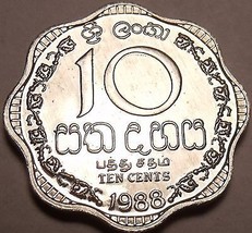 Gem Unc Sri Lanka 1988 10 Cents~Last Year Ever Minted~Scalloped - $3.08