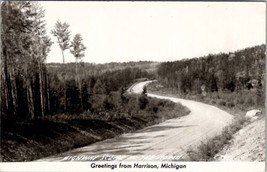 Harrison Michigan RPPC Highway in the North Roadside Scene Postcard Z29 - £8.59 GBP