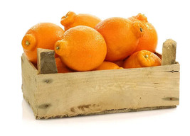VP Tangelo Orange for Garden Planting USA FAST 5+ Seeds - $5.97