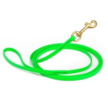 Dog Pet Leash Tropical Green w/ Brass Hardware W 3/8&quot; - L33&#39; - £48.76 GBP