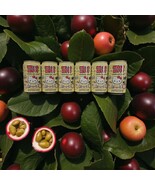 Hello Kitty Sparkling Soda Passion Fruit 11.83 floz - Six (6) Cans,Free ... - $674.79 MXN