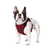Canada Pooch Dog Everything Harness Mesh Red XLG - £41.11 GBP