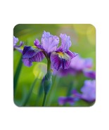 4 PCS Flower Purple Iris Coasters - £19.58 GBP