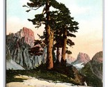 Aype Mountain Fir Cascade Montagne Washington Wa 1909 DB Cartolina U25 - $3.03