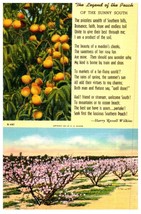 The Legend Of The Peach Of The Sunny South Flowers Postcard - £7.05 GBP
