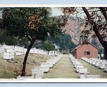 Apiary Beekeeping California CA UNP WB Postcard P13 - $4.90