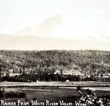 RPPC Mount Rainier From White River Ellis 1920s Washington Pacific NW PCBG6C - £23.52 GBP