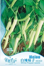 Organic White Hot Chili Pepper Seeds Original Pack 20 Seeds / Pack Bonsa... - £5.49 GBP