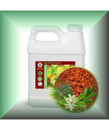 EXQUISITE SANDALWOOD™ Body Massage Oil - €12,70 EUR+