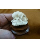 (tb-ins-10-4) Rhinoceros beetle Tagua NUT figurine Bali detailed insect ... - £34.20 GBP