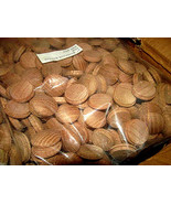 500 BRAND NEW OAK MUSHROOM PLUGS WOOD 1&quot; X 3/8&quot; - $26.82 CAD