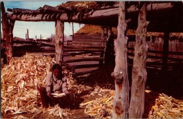 Vtg Postcard, Harvest Time at Indian Pueblo New Mexico - £5.02 GBP