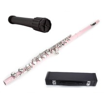New Pink Flute 16 Hole, Key of C with Carrying Case+Stand+Accessories - $109.99