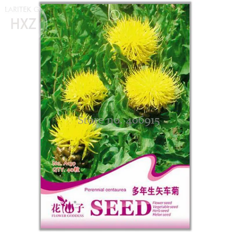 Best seller  Beautiful Yellow Cornflower Flower Seeds, 40 seeds - $8.60