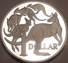 Massiv Selten Australien 2004 Cameo Beweis Silber Dollar ~ Mob Von Roo&#39;s... - $154.29