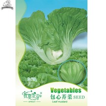 Green Leaf Mustard Brassica Juncea Vegetables Seeds Pack 120 Seeds Pack Jie Cai  - £10.19 GBP