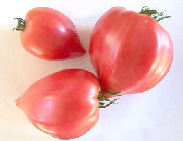 PPA 50 Seeds Oxheart Pink Tomato Tomatoe Vegetable Garden Edible Canning - £3.75 GBP