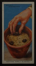 VINTAGE WILLS CIGARETTE CARDS GARDEN HINTS No # 25 NUMBER x1 b14 - $32.55 MXN