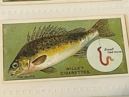 WD HO Wills Cigarettes Tobacco Trading Card 1910 Fish Bait Lure Ruffe #2... - $19.69