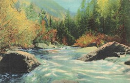 Rocky Mountain Natl Park Co~Devils GULCH-THOMPSON River~Colortone Postcard - £7.08 GBP