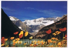 Postcard Lake Louise Icelandic Poppies Mt Victoria Banff National Park Alberta - £2.36 GBP