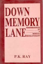 Down Memory Lane [Hardcover] - £22.82 GBP
