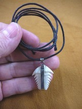 (s1962-22) 1-1/4&quot; Six-Gill Bluntnose Cow Shark Tooth pendant necklace cowshark - £26.14 GBP