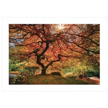First Colors of Fall I 1 White Framed Print Wall Art - $112.49