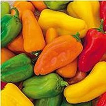 PM Yum Yum Mix Sweet Peppers Seeds (20+ Seeds) | Non GMO | Vegetable Fruit Herb  - £2.96 GBP