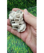Beautiful Bladed Calcite Mineral Specimen ~ La Luz Mexico ~ - $656.18 MXN