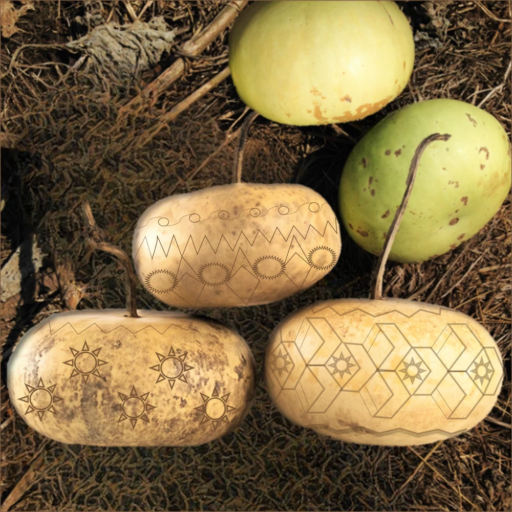 Easy Grow | Corsican Gourd Hard Shelled African Bowl Bottle Art Gourds Seed - $103.72 MXN