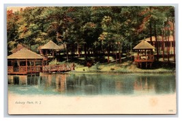 View of Lake Asbury Park New Jersey NJ Unused UNP UDB Postcard W11 - £3.87 GBP