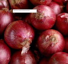 Red Creole Onion Seeds - Vegetable Seeds - BOGO - £0.77 GBP