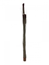 EUROPALMS Reed With Piston, Artificial, Dark Brown, 152cm - £27.85 GBP