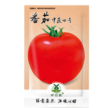 100 pcs Delicious Tomato Seeds, NON-GMO, World Record Beefsteak, Heirloo... - $6.99