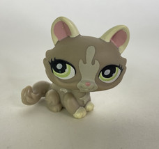 Littlest Pet Shop LPS 1370 Chat Cat Crouching Toy Figure Authentic Hasbro - £11.60 GBP