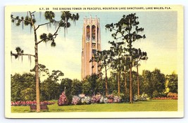 Postcard Singing Tower in Peaceful Mountain Sanctuary, Lake Wales Florida FL - £2.96 GBP