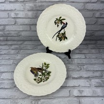 Alfred Meakin Set of 2 Dinner Plates Birds of America 11&quot; Turtle Dove Fl... - $26.24