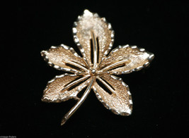 Classic Sarah Coventry Brooch Leaf Pin w Shimmering Gold Tone Designer Signed - £7.90 GBP