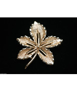 Classic Sarah Coventry Brooch Leaf Pin w Shimmering Gold Tone Designer S... - £7.81 GBP