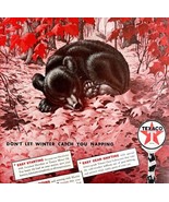 Texaco Motor Oil 1939 Advertisement Lithograph Hibernating Bear Fall DWCC5 - $81.69 CAD