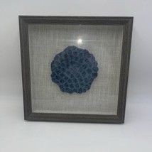 SHADOW BOX NATURAL SEA CORAL FRAME 12&quot;X12&quot;-4 - £38.79 GBP