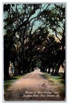 Avenue Of Muschio Coperto Oaks Audobon Park Nuovo Orleans La Unp DB Cartolina Y6 - $3.02