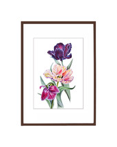 Original Watercolor Tulip Flowers 29,8x42cm Home Decor Botanical illustr... - $215.00