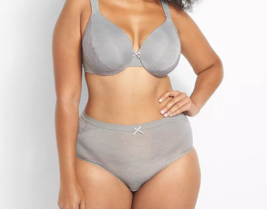 Lane Bryant Cacique Silky No Show Full Brief Panty Gray Lace Plus Sz 30/32 Nw - $15.35