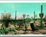 Springtime Desert Cactus Cacti AZ Arizona UNP Unused WB Postcard H12 - $4.90